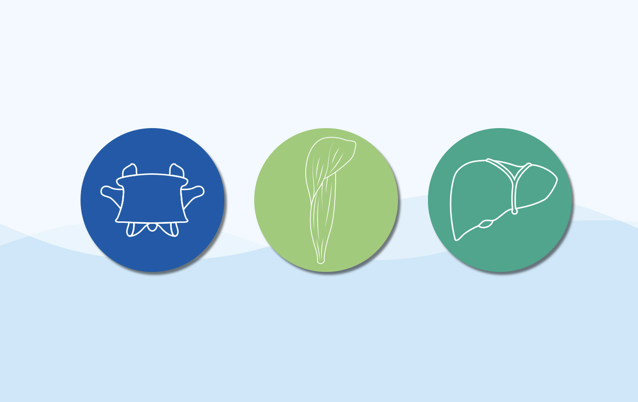 Individualisierte Icons für Osteopathie Schumacher