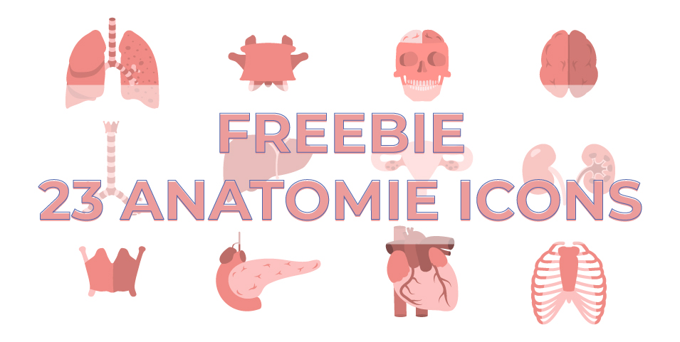 23 gratis Icons zum Thema Anatomie