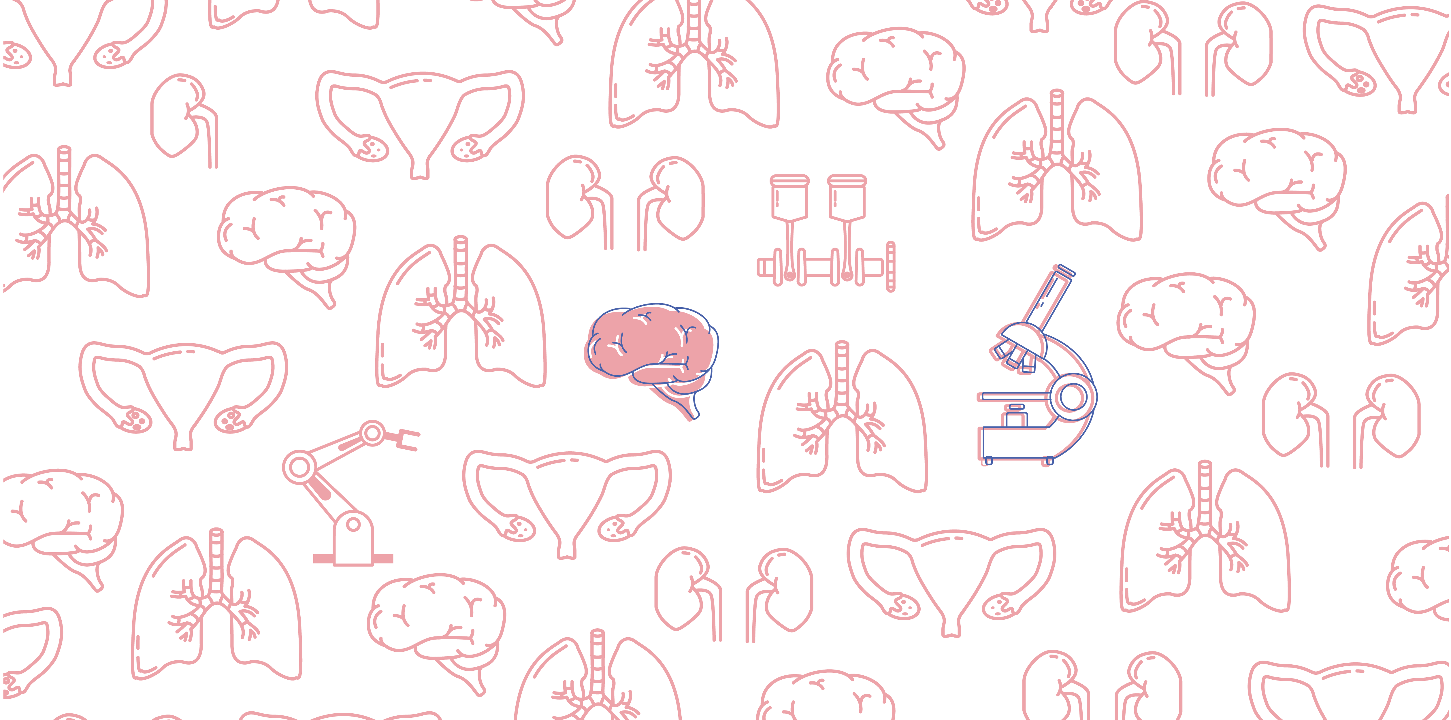 Wissenschaftliche Illustrationen der Yip Yips Agentur Aachen