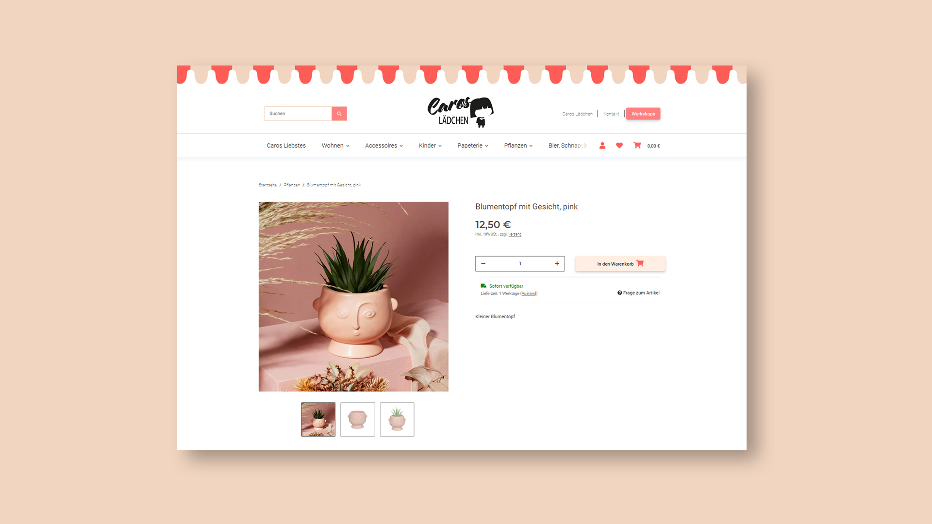 Caros Lädchen Website Produktseite Blumentopf Gesicht
